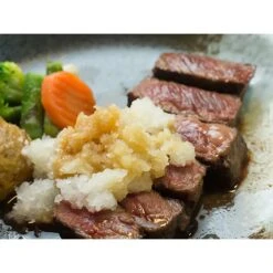 Nonoji ABS Resin Daikon Radish Grater With Container -Kitchen Tools NonojiStainlessSteelRadishGraterLDS 02 5